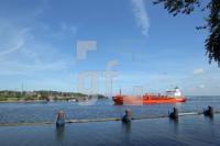 OH10_Nok03_0194.JPG