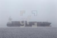 OH10_Schiff03_0128.JPG