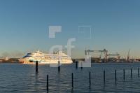 QF04_Wd_1300.jpg