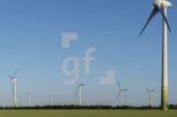QH11_Fe18_1300.jpg