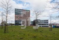 RE31_Sen01_0738.jpg