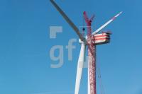 RF01_Wi03_0764.jpg