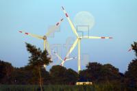 RI19_Mo01_0175.JPG