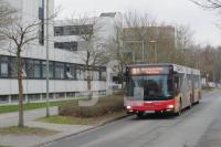 UC31_Ca01_0184.JPG