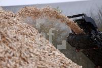 XM14_Sb01_0124.JPG