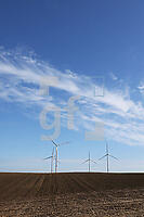 ZAF15_Wk_0159.JPG