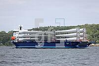 ZAH11_Wt_0154.JPG