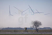 ZCE04_Wk_0110252.JPG