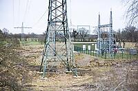 ZCE17_Ho_0110280.JPG