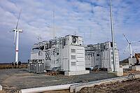 ZCE19_H2_0110290.JPG