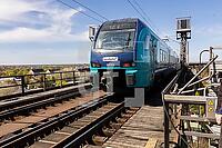 ZCF28_Sf_0110396.JPG