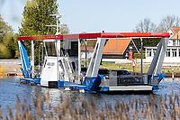 ZCF29_Mi_0110172.JPG
