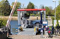 ZCF29_Mi_0110173.JPG