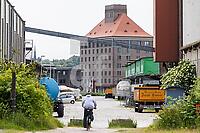 ZCH17_Ih_0110465.JPG