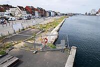 ZCH30_Ha_0110485.jpg