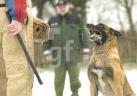 GD23_Polizeihund1_0119.jpg