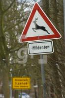 GD27_Wildenten_0783.jpg
