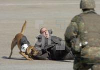 GF19_Bundeswehr04_0204.jpg