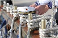 JJ15_Marine07_0193.JPG