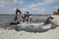 LF18_Sand08_0164.JPG