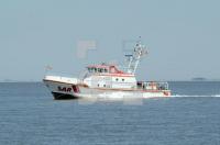 MH03_Pell24_0798.jpg