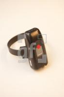 MM30_Fess04_0755.jpg