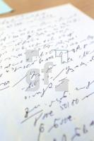 NF05_Steno04_0112.JPG