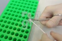 OC15_DNA05_0174.JPG
