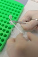 OC15_DNA07_0178.JPG