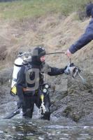 OE07_Tauch07_0130.JPG