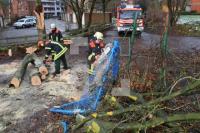 ON06_Baum03_0191.jpg