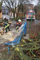 ON06_Baum04_0102.jpg