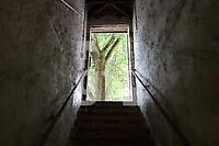 ZAI11_Bu_0146.JPG