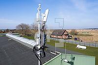 ZCE06_Ka_0110274.JPG