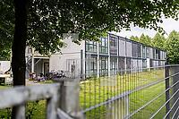 ZCH30_Fl_0110486.JPG