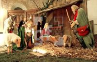 EN23_KrippeWeihnachten_0121.jpg