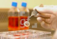 FG13_AugenOrganspende2_0122.jpg