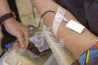 GE08_Blutspenden01_0158.jpg