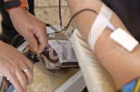 GE08_Blutspenden01_0164.jpg