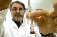 HD06_Invitro_0120.jpg