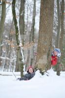 KN18_Wald01_0198.JPG