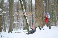 KN18_Wald02_0186.JPG