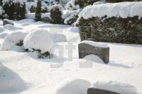 LC30_Friedhof01_0153.JPG