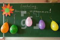 LJ25_Sch_0730.jpg