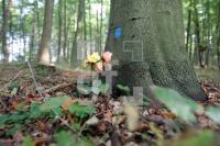 LL13_Waldfriedhof15_0120.JPG