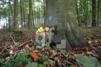 LL13_Waldfriedhof24_0156.JPG