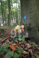 LL13_Waldfriedhof25_0158.JPG