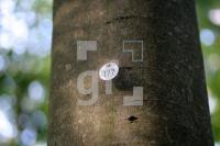 LL13_Waldfriedhof39_0124.JPG