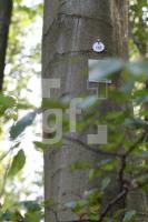 LL13_Waldfriedhof43_0154.JPG