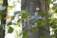 LL13_Waldfriedhof44_0161.JPG